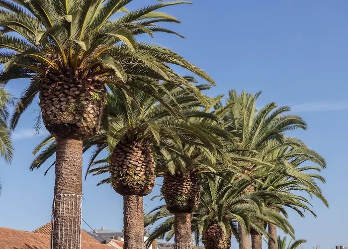 Guestready - Centro Urban Апартаменты *